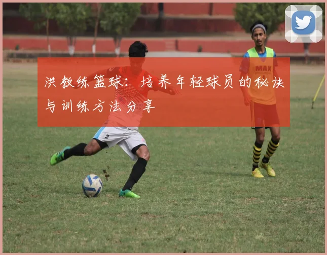 洪教练篮球：培养年轻球员的秘诀与训练方法分享