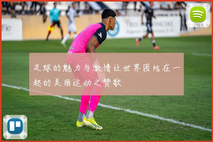 足球的魅力与激情让世界团结在一起的美丽运动之赞歌