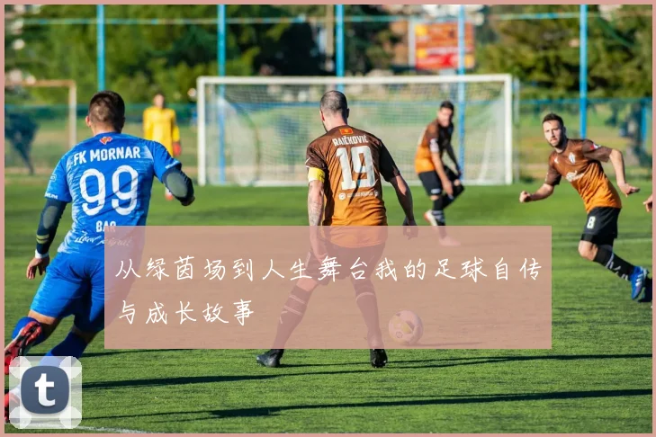 从绿茵场到人生舞台我的足球自传与成长故事