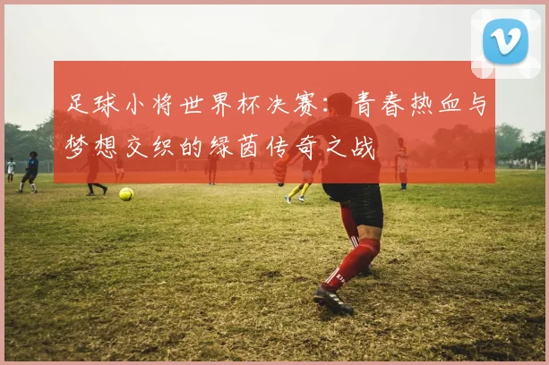 足球小将世界杯决赛：青春热血与梦想交织的绿茵传奇之战