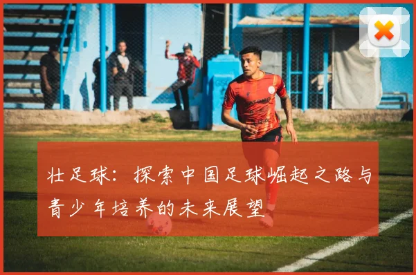 壮足球：探索中国足球崛起之路与青少年培养的未来展望