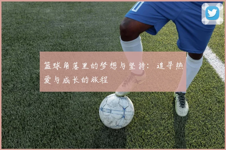 篮球角落里的梦想与坚持：追寻热爱与成长的旅程